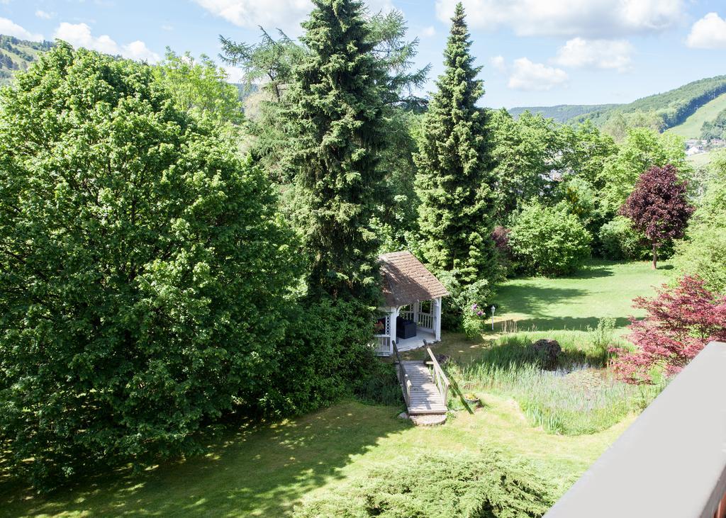 Landhaus Wiesemann Parkappartements & Dependance - Naehe Ettelsberg-Talstation Willingen  Buitenkant foto